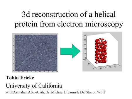 Tobin Fricke University of California with Asmahan Abu-Arish, Dr. Michael Elbaum & Dr. Sharon Wolf 3d reconstruction of a helical protein from electron.