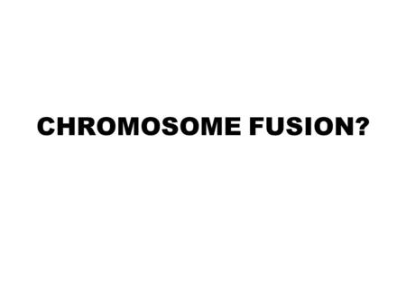 CHROMOSOME FUSION?. WHAT IS MOST STRIKING HERE? Compare the Banding Patterns: 6 longest chromosomes of humans (Hu), are matched with 7 chromosomes from.