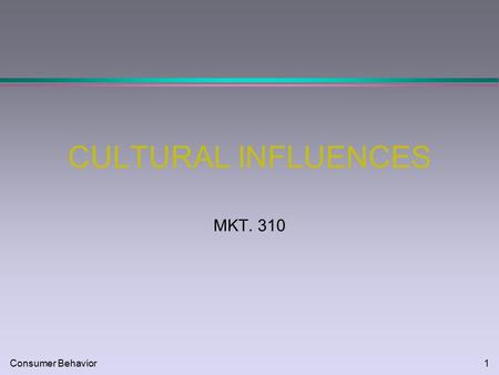 Consumer Behavior1 CULTURAL INFLUENCES MKT. 310. Consumer Behavior2 CHARACTERISTICS OF CULTURE l Learned l Adaptive l Analogies: l lens l blueprint l.