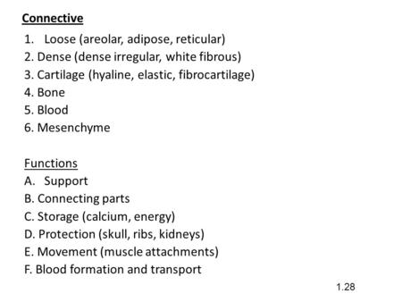 Connective 1.Loose (areolar, adipose, reticular) 2. Dense (dense irregular, white fibrous) 3. Cartilage (hyaline, elastic, fibrocartilage) 4. Bone 5. Blood.