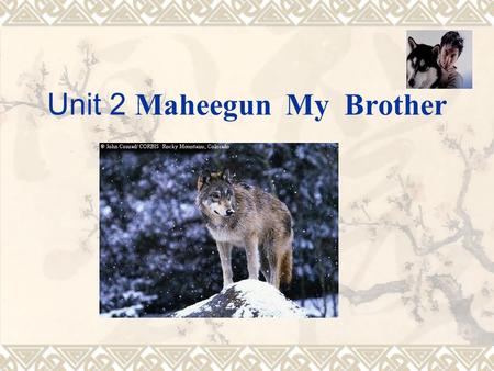 Unit 2 Maheegun My Brother.  Warming-up: Discussion;  theme  Structure of the text  Language and Style  Detailed discussion of the text Teaching.