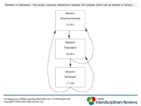 Modules in chemotaxis. The arrows represent interactions between the modules which can be forward or reverse. WJ Rappel et al. WIREs Syst Biol Med 2009.