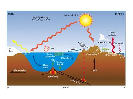 6CO 2 +6H 2 O [+nutrients + sunlight]  C 6 H 12 O 6 +6O 2 Photosynthesis Oxidation [respiration; decomposition]