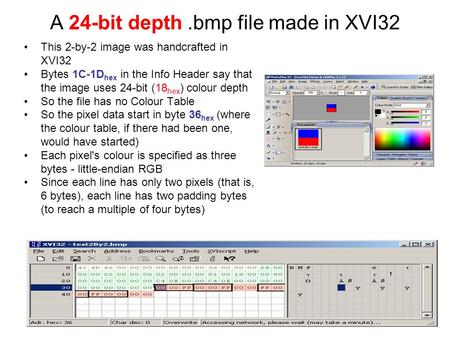 A 24-bit depth.bmp file made in XVI32 This 2-by-2 image was handcrafted in XVI32 Bytes 1C-1D hex in the Info Header say that the image uses 24-bit (18.