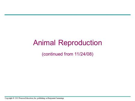 Copyright © 2005 Pearson Education, Inc. publishing as Benjamin Cummings Animal Reproduction (continued from 11/24/08)