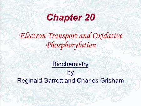 Chapter 20 Electron Transport and Oxidative Phosphorylation