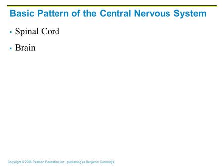 Copyright © 2006 Pearson Education, Inc., publishing as Benjamin Cummings Basic Pattern of the Central Nervous System  Spinal Cord  Brain.