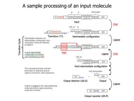 A sample processing of an input molecule. S0 S1 a a b b A1: even number of b’s Automaton A1 accepting inputs with an even number of b ’s.