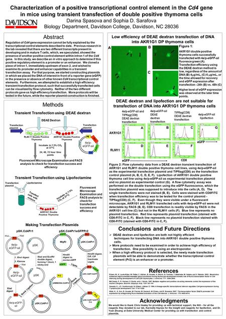 Characterization of a positive transcriptional control element in the Cd4 gene in mice using transient transfection of double positive thymoma cells Darina.