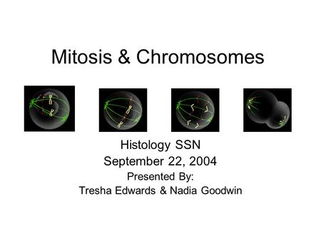 Mitosis & Chromosomes Histology SSN September 22, 2004 Presented By: Tresha Edwards & Nadia Goodwin.