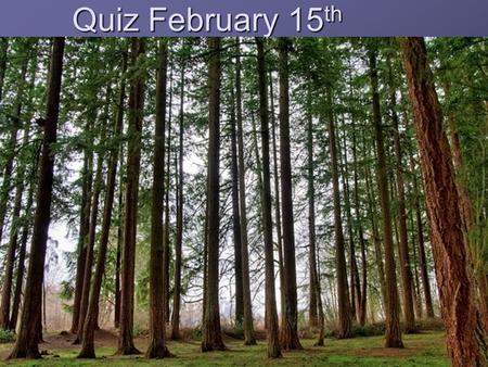 Quiz February 15 th. 1. Unlike TV, print media tends to be a.Intrusive b.High Involvement c.Mass Audience d.External Pace.