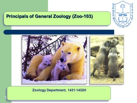 1 Principals of General Zoology (Zoo-103) Zoology Department, 1431-1432H.