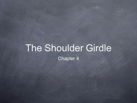 The Shoulder Girdle Chapter 4. Bones 1. Clavicle 2. Scapula 3. Sternum*