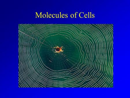 Molecules of Cells. Life is Based on Carbon Outer shell half full (4 e - ) Organic Compounds = Contain C (and H)