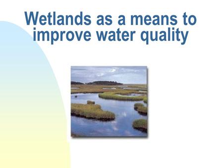 Wetlands as a means to improve water quality. Mechanisms of improving water quality n trap sediment n sequester pollutants n remove phosphorous n remove/modify.