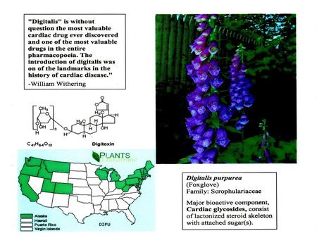 Digitoxin, a “cardiac glycoside”, is used to treat congestive heart failure and cardiac arrhythmia Derived from cholesterol, with shortening and lactonization.