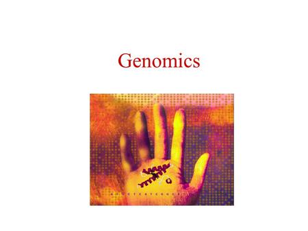 Genomics Complete Genomes in The Public DataBases >100 Non-Eukaryotes Eukaryotes: Leishmania 257 Kb 79 orfs Plasmodium falciparum I 947 Kb 205.