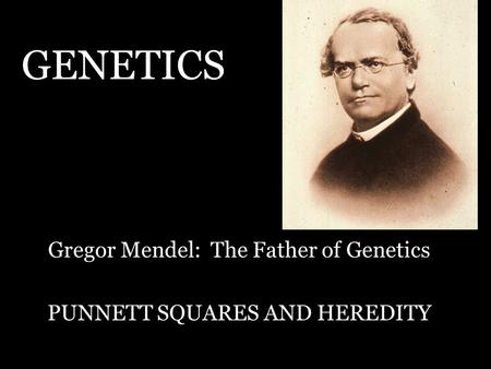 GENETICS Gregor Mendel: The Father of Genetics PUNNETT SQUARES AND HEREDITY.