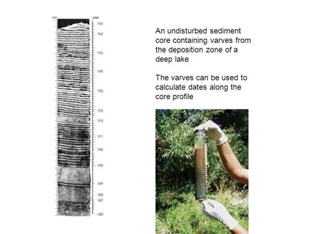 An undisturbed sediment core containing varves from the deposition zone of a deep lake The varves can be used to calculate dates along the core profile.