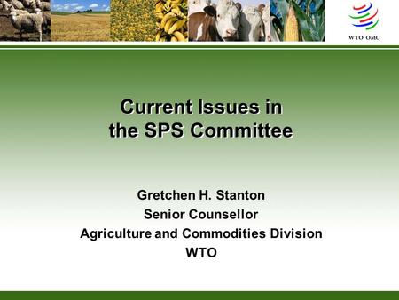 Current Issues in the SPS Committee Gretchen H. Stanton Senior Counsellor Agriculture and Commodities Division WTO.