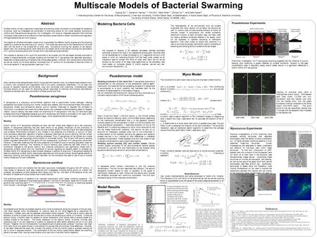 Myxococcus Experiments Abstract Surface motility of many organisms is described as swarming where movement is coordinated for spreading of groups. Here.