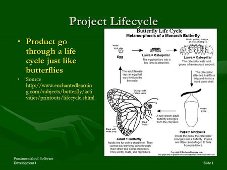 Fundamentals of Software Development 1Slide 1 Project Lifecycle Product go through a life cycle just like butterfliesProduct go through a life cycle just.