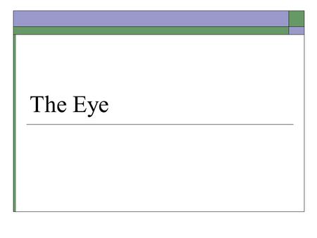 The Eye. A Model for Sensing  Three components: Stimulus detection – a specialized sensory neuron Reception – where neurons receive information from.