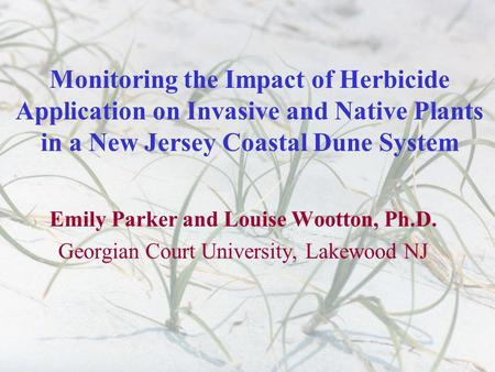 Monitoring the Impact of Herbicide Application on Invasive and Native Plants in a New Jersey Coastal Dune System Emily Parker and Louise Wootton, Ph.D.