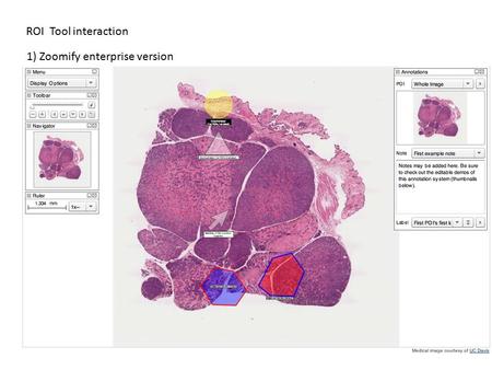 ROI Tool interaction 1) Zoomify enterprise version.