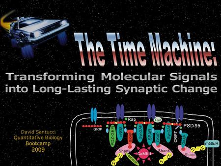 Presynaptic ReleaseLong Term Potentiation Difference in time scale > 6 orders of magnitude.