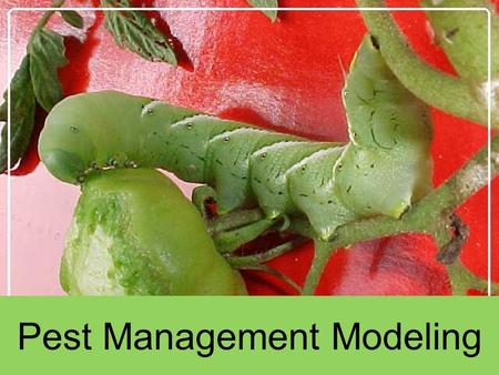 Pest Management Modeling. CAUSE DAMAGE TO CROPS ONE-THIRD OF EVERYTHING GROWN 4 BILLION DOLLARS PESTS.