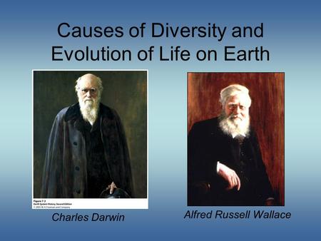 Causes of Diversity and Evolution of Life on Earth Charles Darwin Alfred Russell Wallace.