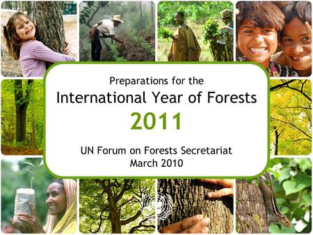 Preparations for the International Year of Forests 2011 UN Forum on Forests Secretariat March 2010.