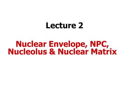 Nuclear Envelope, NPC, Nucleolus & Nuclear Matrix