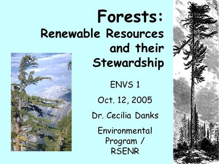 Forests: Renewable Resources and their Stewardship ENVS 1 Oct. 12, 2005 Dr. Cecilia Danks Environmental Program / RSENR.