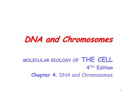 DNA and Chromosomes 4TH Edition Chapter 4. DNA and Chromosomes