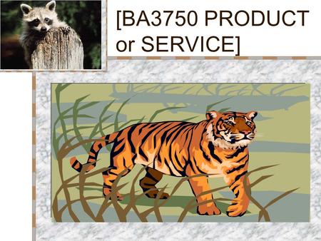 [BA3750 PRODUCT or SERVICE] Your Logo Here Insert Product Photograph Here.