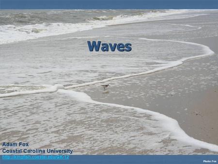 Waves Photo: Fox Adam Fox Coastal Carolina University