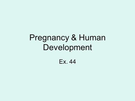 Pregnancy & Human Development Ex. 44. Fertilization: It’s all in the timing! Oocyte is only viable for ~ 24 hours. Sperm is viable for 12 – 24 hours (some.