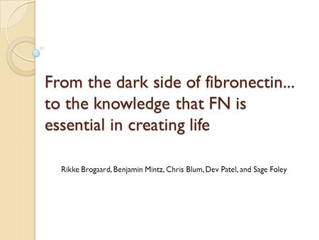 From the dark side of fibronectin... to the knowledge that FN is essential in creating life Rikke Brogaard, Benjamin Mintz, Chris Blum, Dev Patel, and.