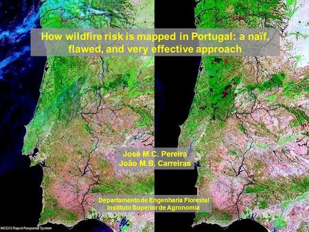 How wildfire risk is mapped in Portugal: a naïf, flawed, and very effective approach Departamento de Engenharia Florestal Instituto Superior de Agronomia.