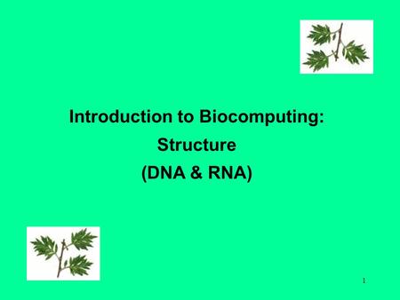 1 Introduction to Biocomputing: Structure (DNA & RNA)