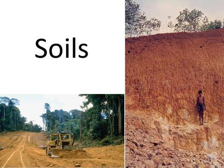 Soils.