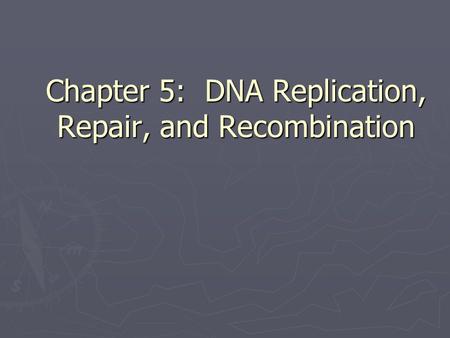 Chapter 5: DNA Replication, Repair, and Recombination