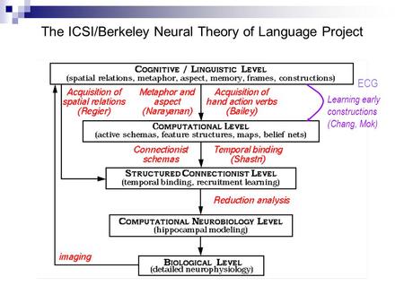 The ICSI/Berkeley Neural Theory of Language Project