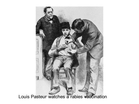 Louis Pasteur watches a rabies vaccination Immunity: 2 Branches 1. Non-specific Immunity 2. Specific Acquired Immunity Examples? Specific Has memory.