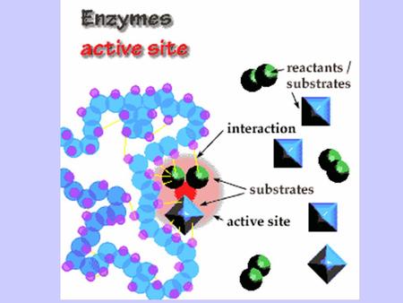 Good Times With Enzymes A Dr.Production www.africangreyparrott.com Sung to the tune “Goodtimes” by Chic.