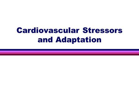 Cardiovascular Stressors and Adaptation