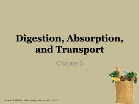 Digestion, Absorption, and Transport