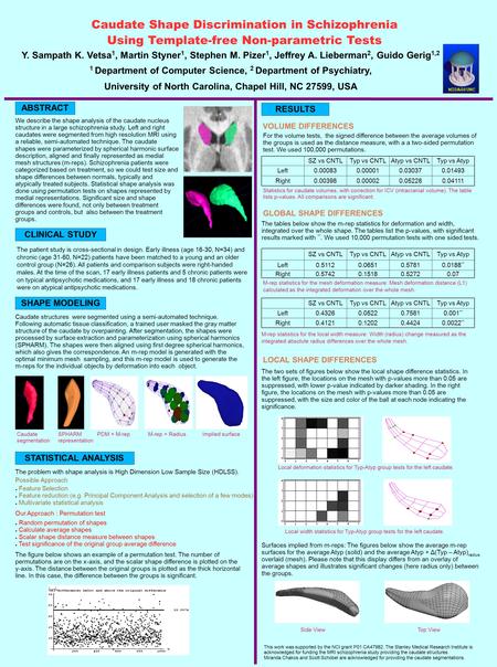 Caudate Shape Discrimination in Schizophrenia Using Template-free Non-parametric Tests Y. Sampath K. Vetsa 1, Martin Styner 1, Stephen M. Pizer 1, Jeffrey.